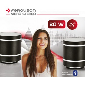 Ferguson Vibro-Stereo Luidsprekers Bluetooth